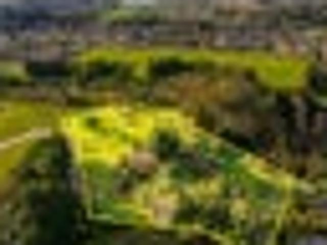 Land for sale in Bay Of Plenty