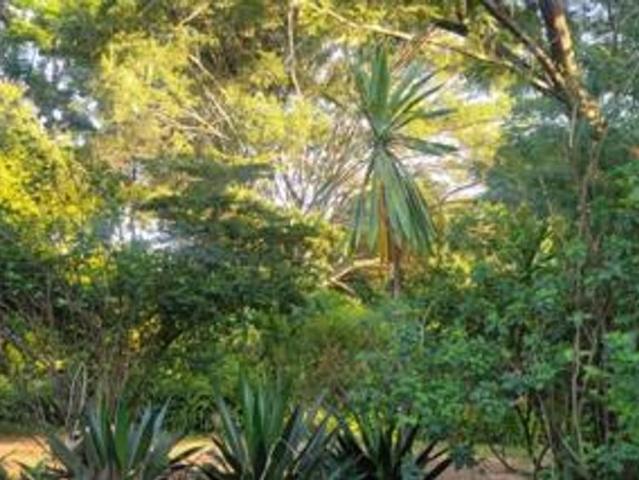Land for sale in Lavington, Kiambu