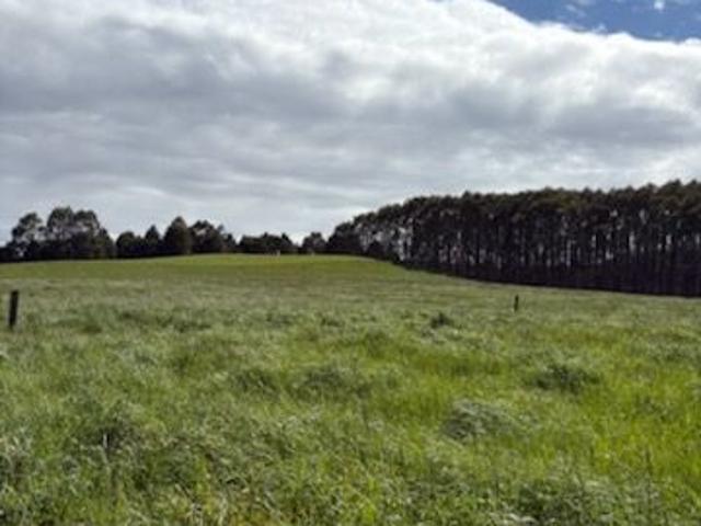 Land for sale in Lileah, Tasmania
