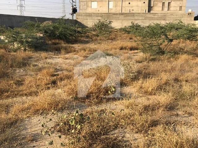 Land for rent in North Waziristan, Federally Administered Tribal Areas fata