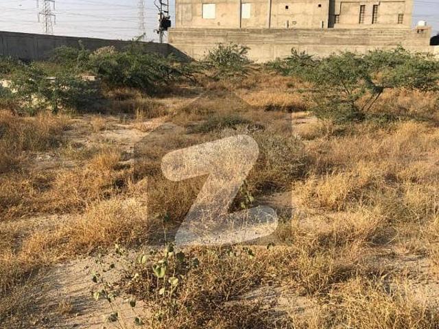 Land for rent in North Waziristan, Federally Administered Tribal Areas fata