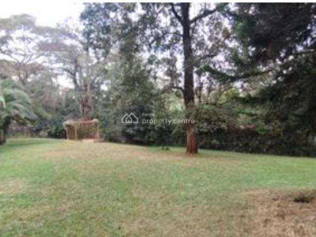 Commercial for sale
