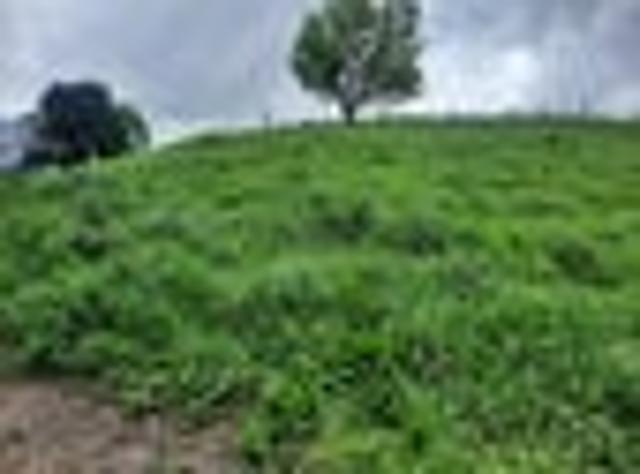 Land for sale in Kihikihi, Waikato