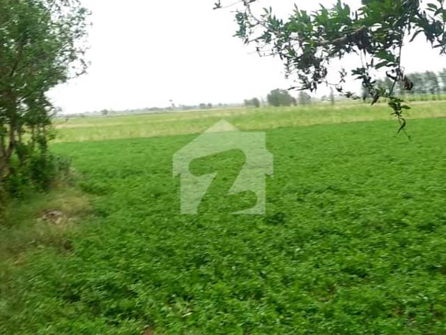 Land for sale in Faisalabad, Islamabad Capital Territory