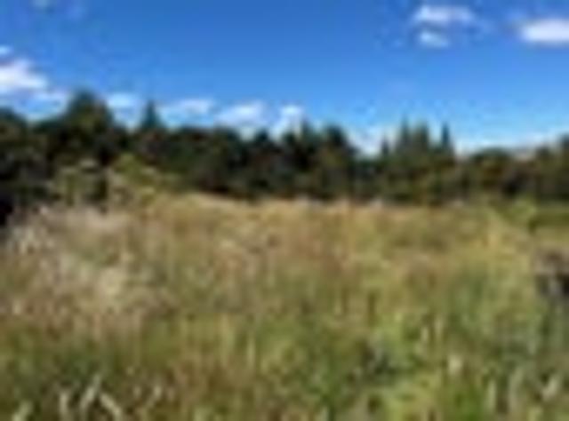 Land for sale in Canterbury