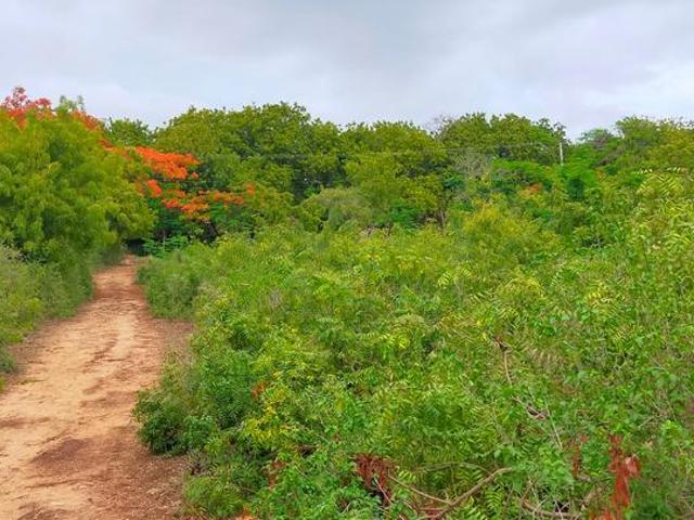 Land for sale in Vipingo, Kilifi