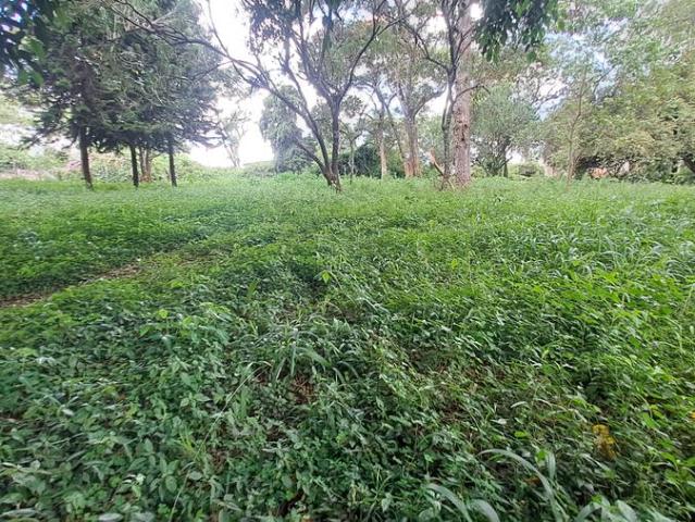 Land for sale in Kabete