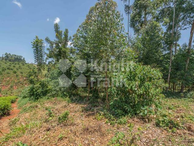 Land for sale in Limuru, Kiambu