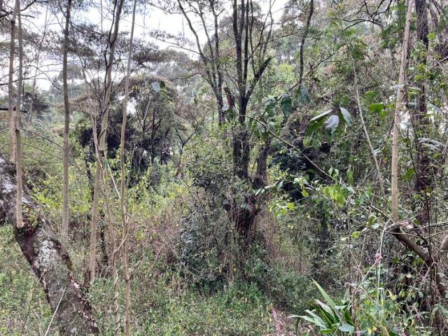 Land for sale in Karen, Kiambu