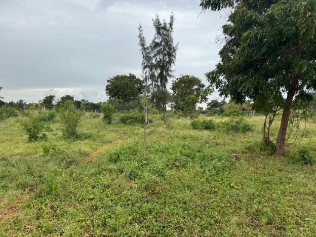 Land for sale in Vipingo, Kilifi