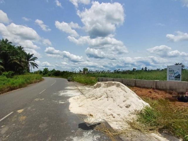 Commercial for sale in Rivers