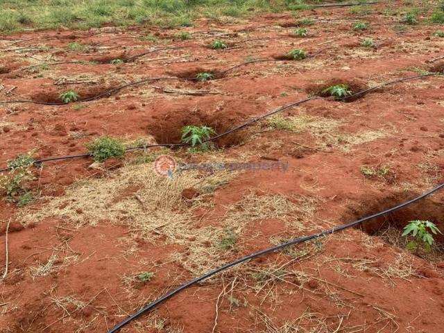 Land for sale in Kirinyaga