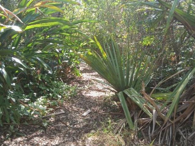 Property for sale in Torbanlea, Queensland