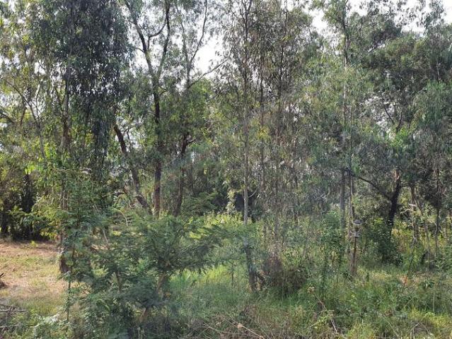 Land for sale in Karen, Kiambu