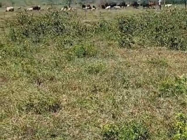 Land for sale in Kisumu