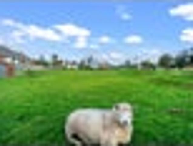 Land for sale in Gore, Southland