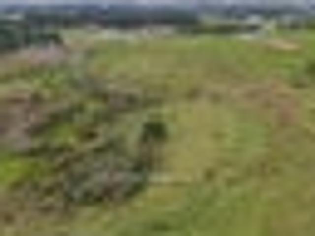 Land for sale in Karetu, Northland