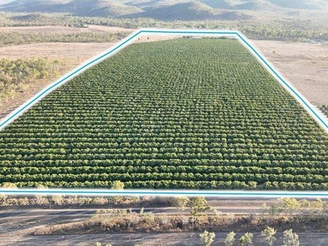 Property for sale in Dimbulah, Mareeba Shire