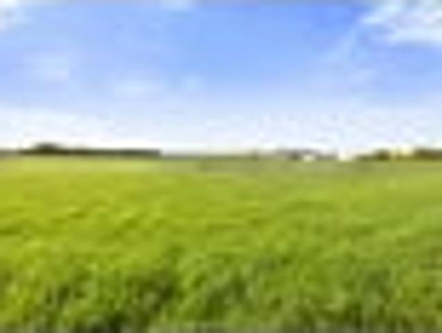 Land for sale in Taranaki