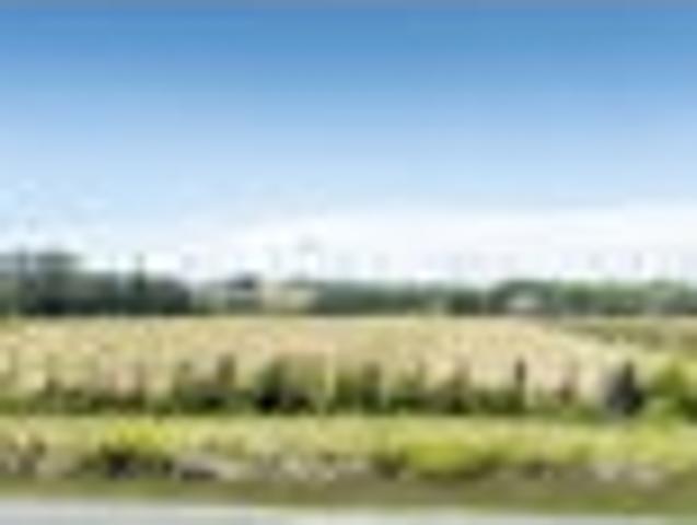 Land for sale in Arapohue, Northland