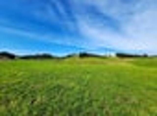 Land for sale in Babylon, Northland