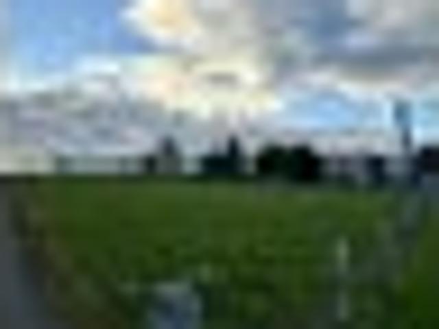 Land for sale in Waimate