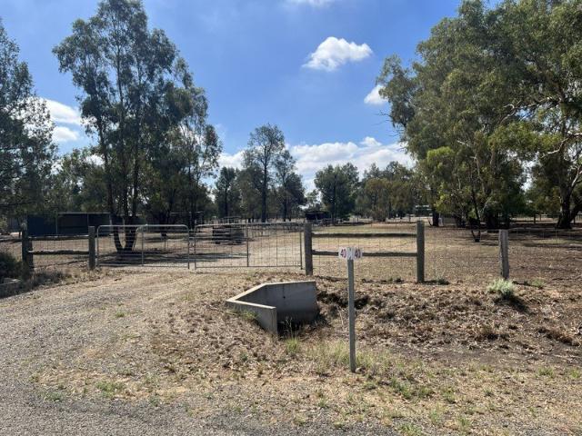 Land for sale in Berrigan, New South Wales