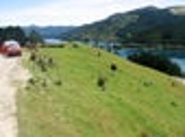Land for sale in Marlborough
