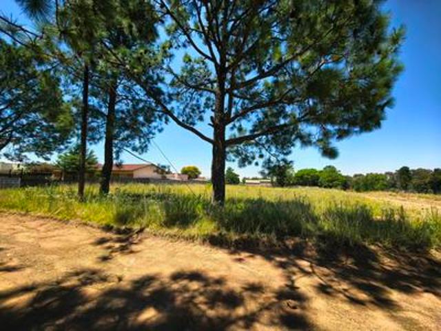 Land for sale in Oranjeville, Free State