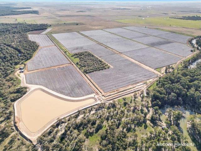 Property for sale in Carrathool, New South Wales
