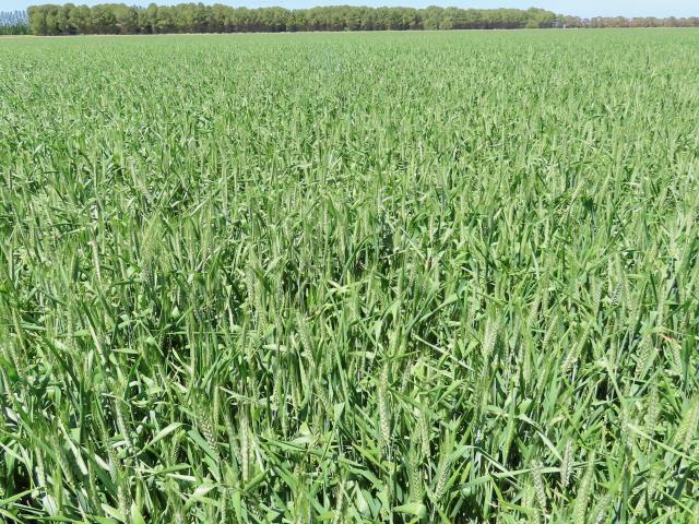 Property for sale in South Australia