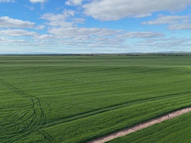 Cottage for sale in Port Broughton, South Australia