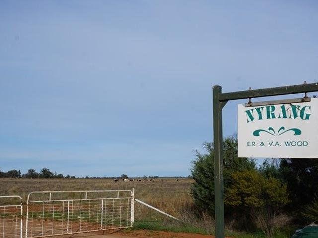 Cottage for sale in West Wyalong, New South Wales