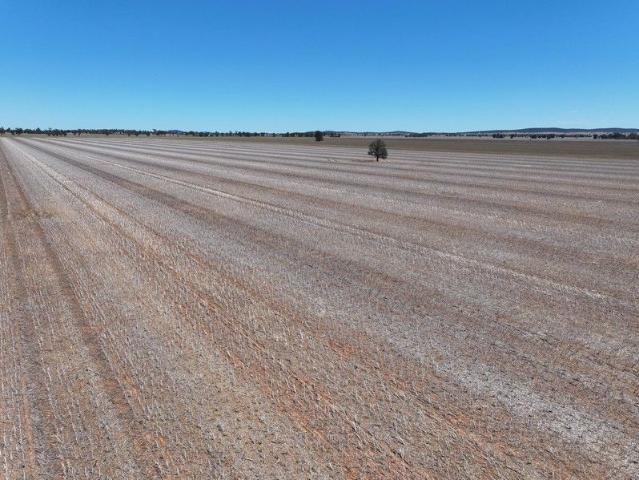 Property for sale in Caragabal, New South Wales