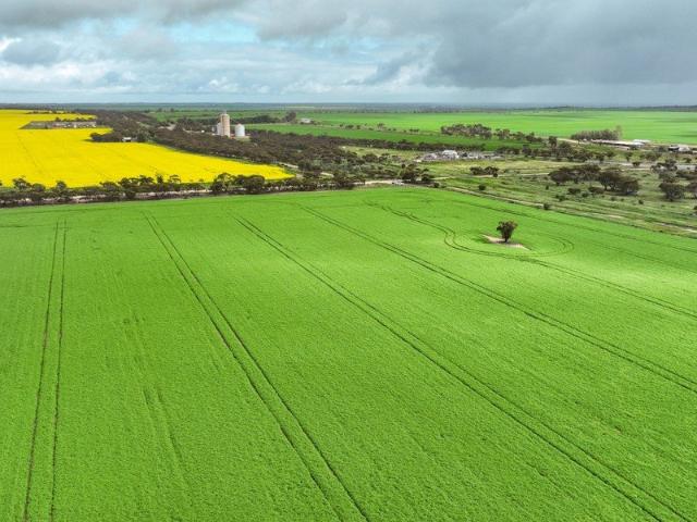 Property for sale in Victoria