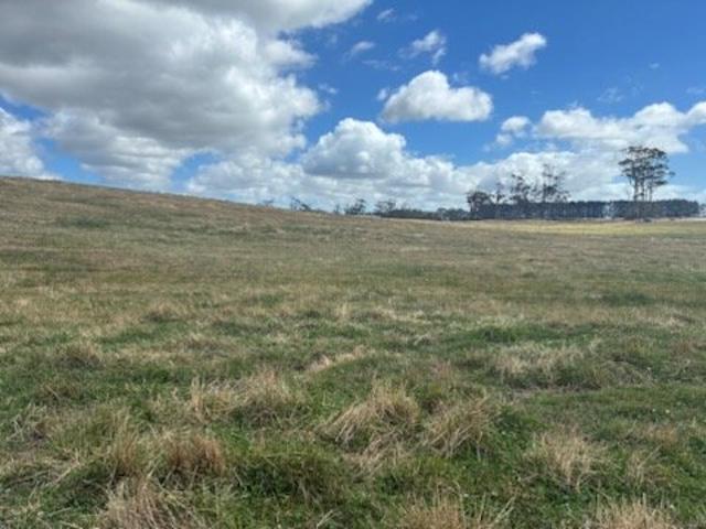 Acreage for sale in Montagu, Tasmania