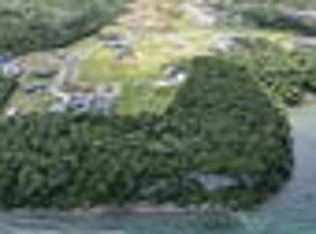 Land for sale in Kinloch, Waikato