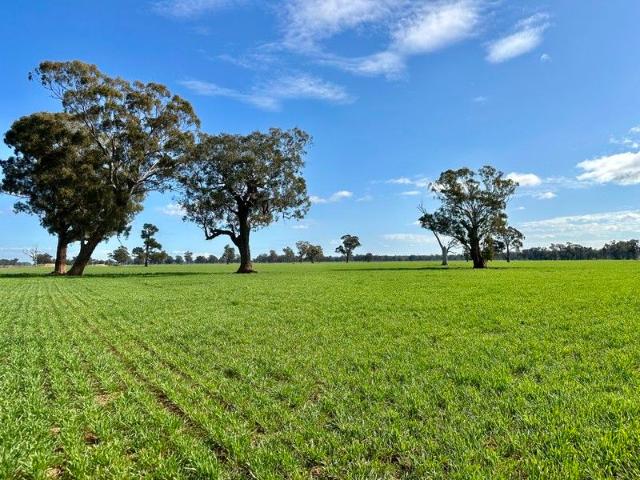House And Land for sale in Wagga Wagga House And Land for sale in Wagga Wagga