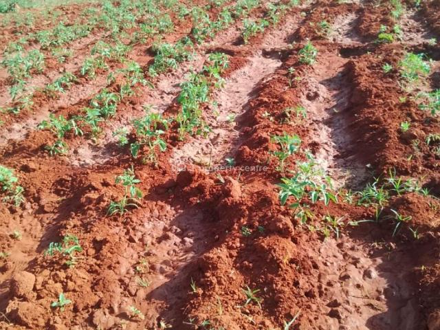 Property for sale in Mbeere, Embu