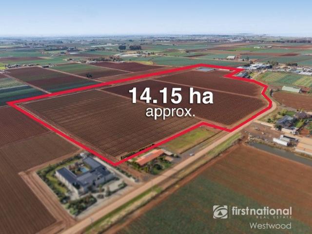 Land for sale in Camerons Creek, Victoria