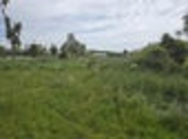 Land for sale in Otakou