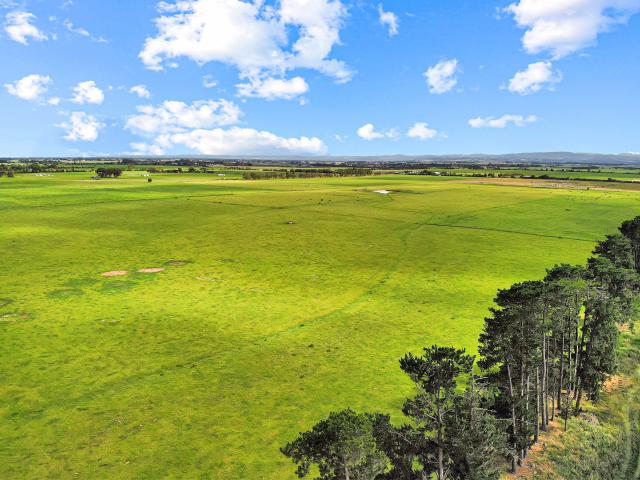 Property for sale in Camerons Creek, Victoria