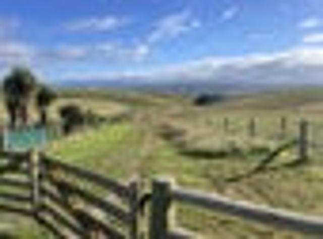 Land for sale in Otakou