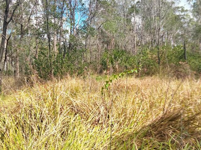 Property for sale in Queensland