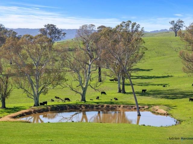 Property for sale in Alexandra, Victoria