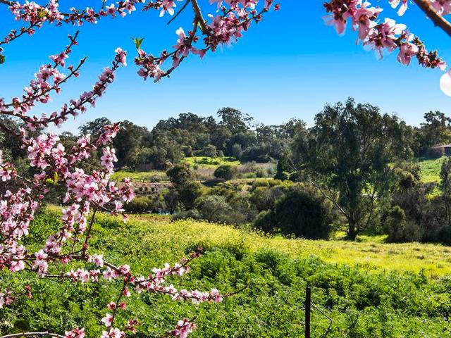 Cottage for sale in Belhus, Western Australia