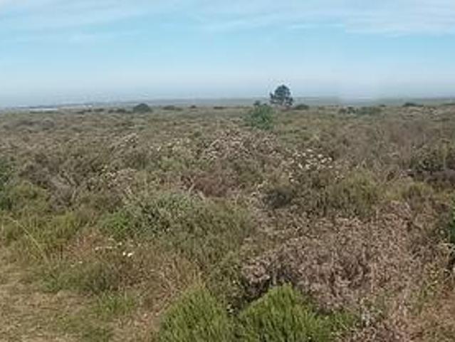 Commercial for sale in Cape St Francis, Eastern Cape