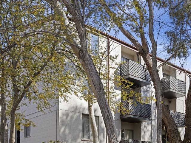 Apartment for sale in Canberra, Woden Valley