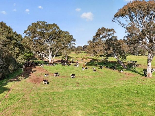 Cottage for sale in Maffra, Victoria