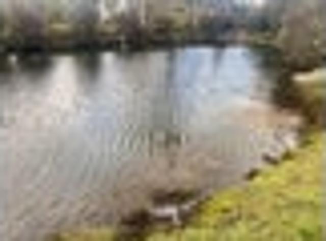 Land for sale in Ruapehu District
